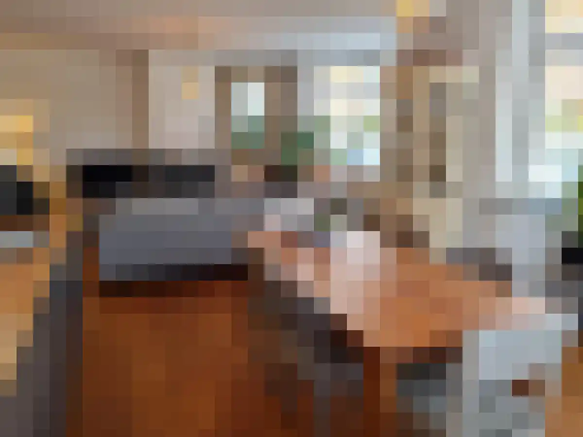 Altenastraat 3 Haarlem thumbnail 6