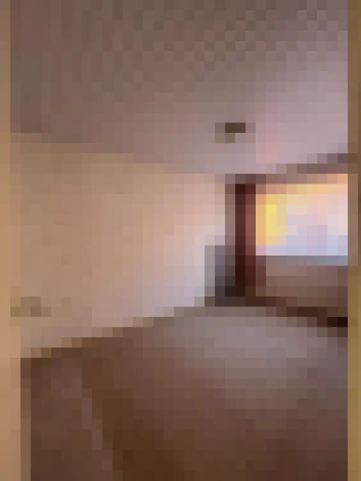 Altenastraat 7 Hoek thumbnail 15