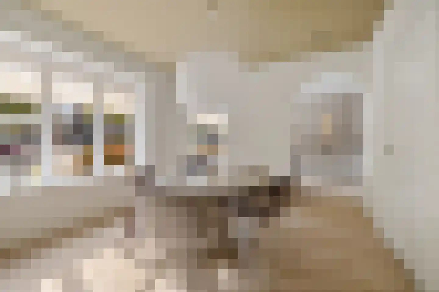 Altenastreek 31 Dokkum thumbnail 12