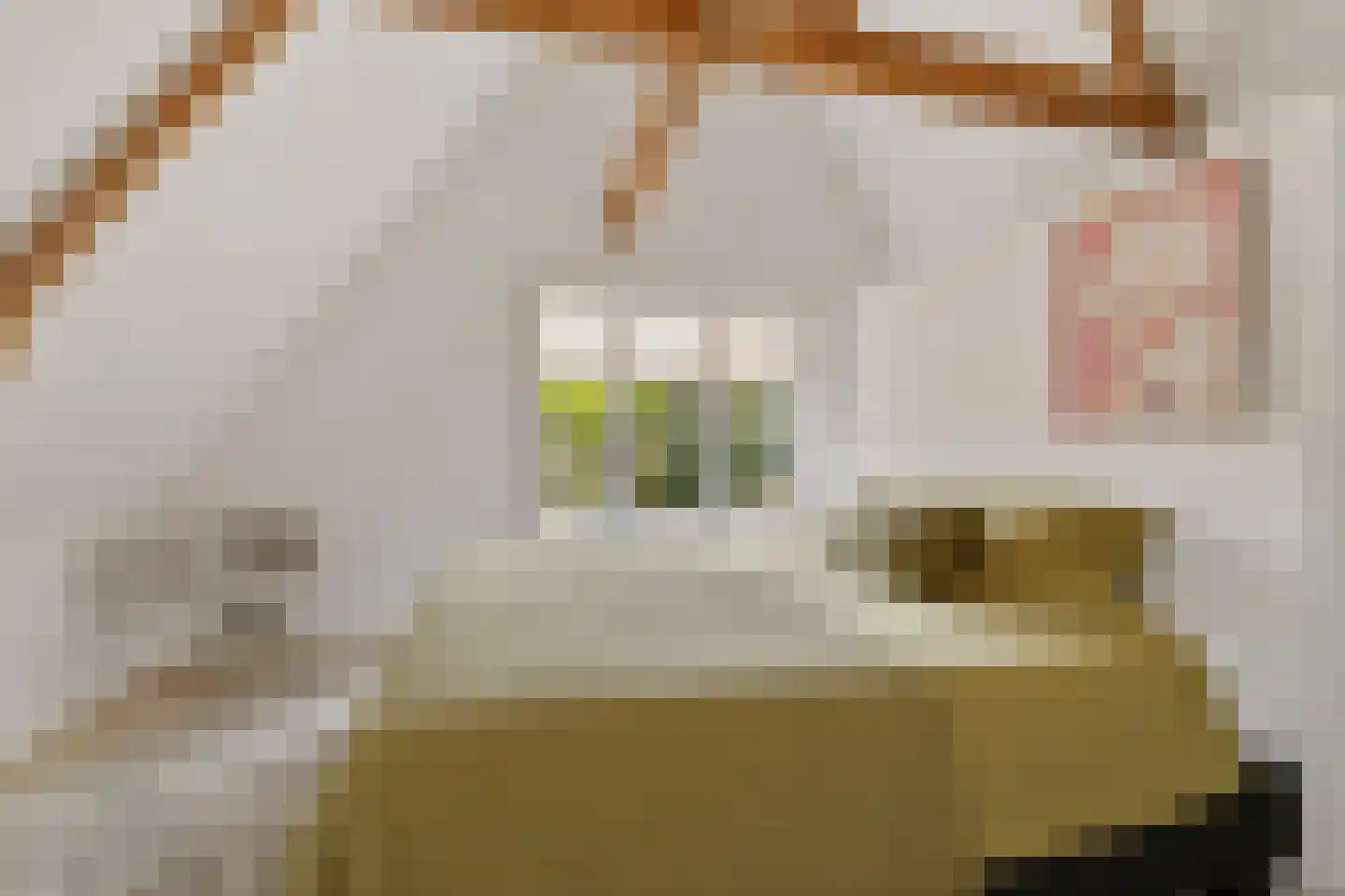 Altenastreek 31 Dokkum thumbnail 24