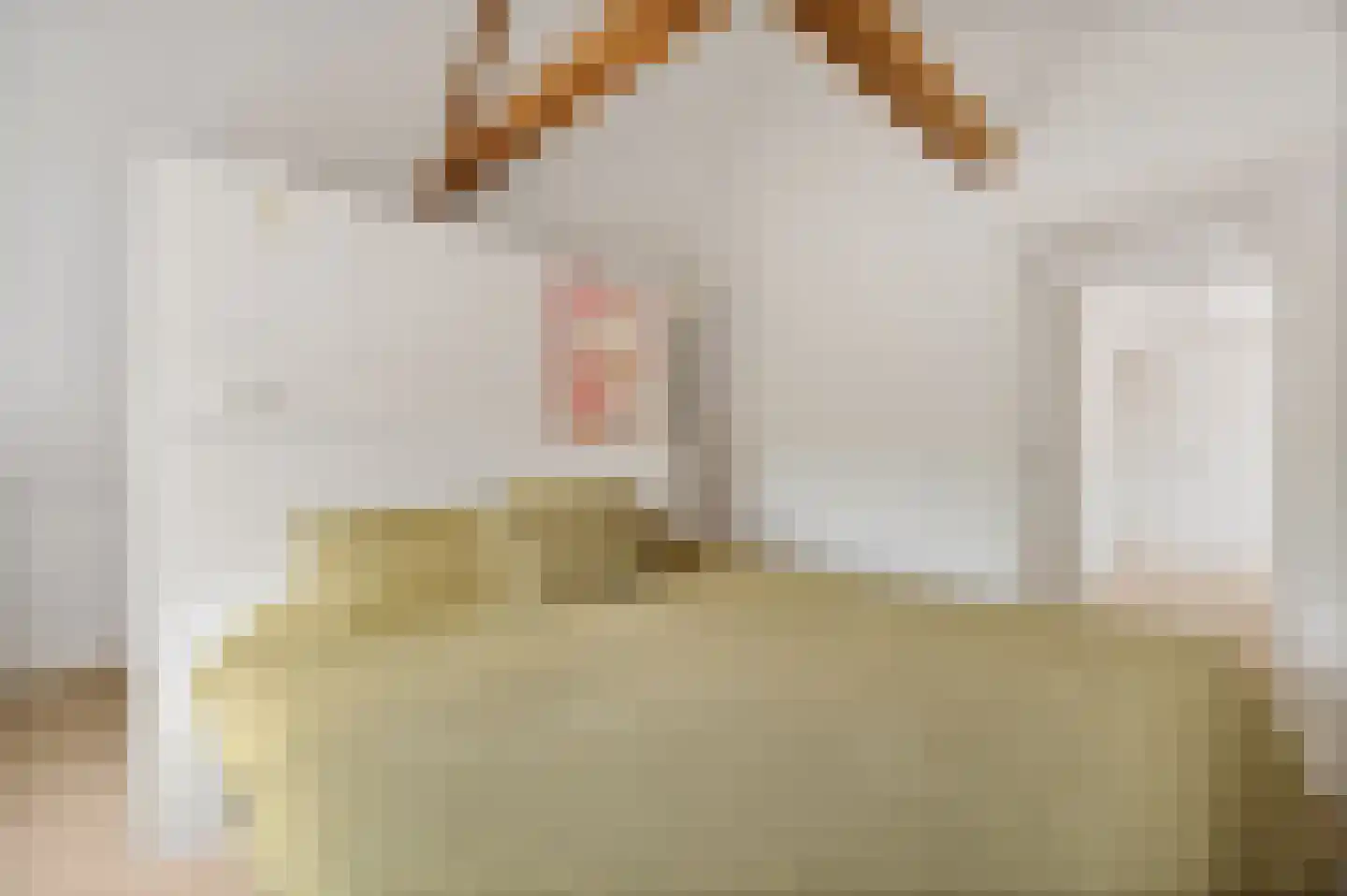 Altenastreek 31 Dokkum thumbnail 25