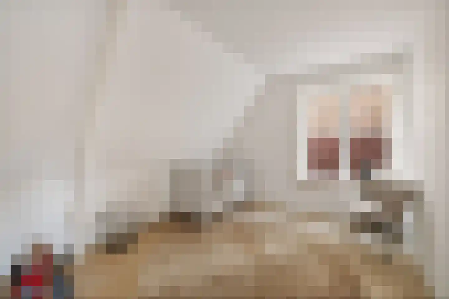 Altenastreek 31 Dokkum thumbnail 27
