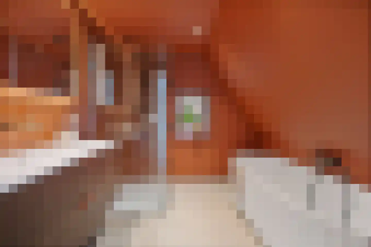Altenastreek 31 Dokkum thumbnail 28