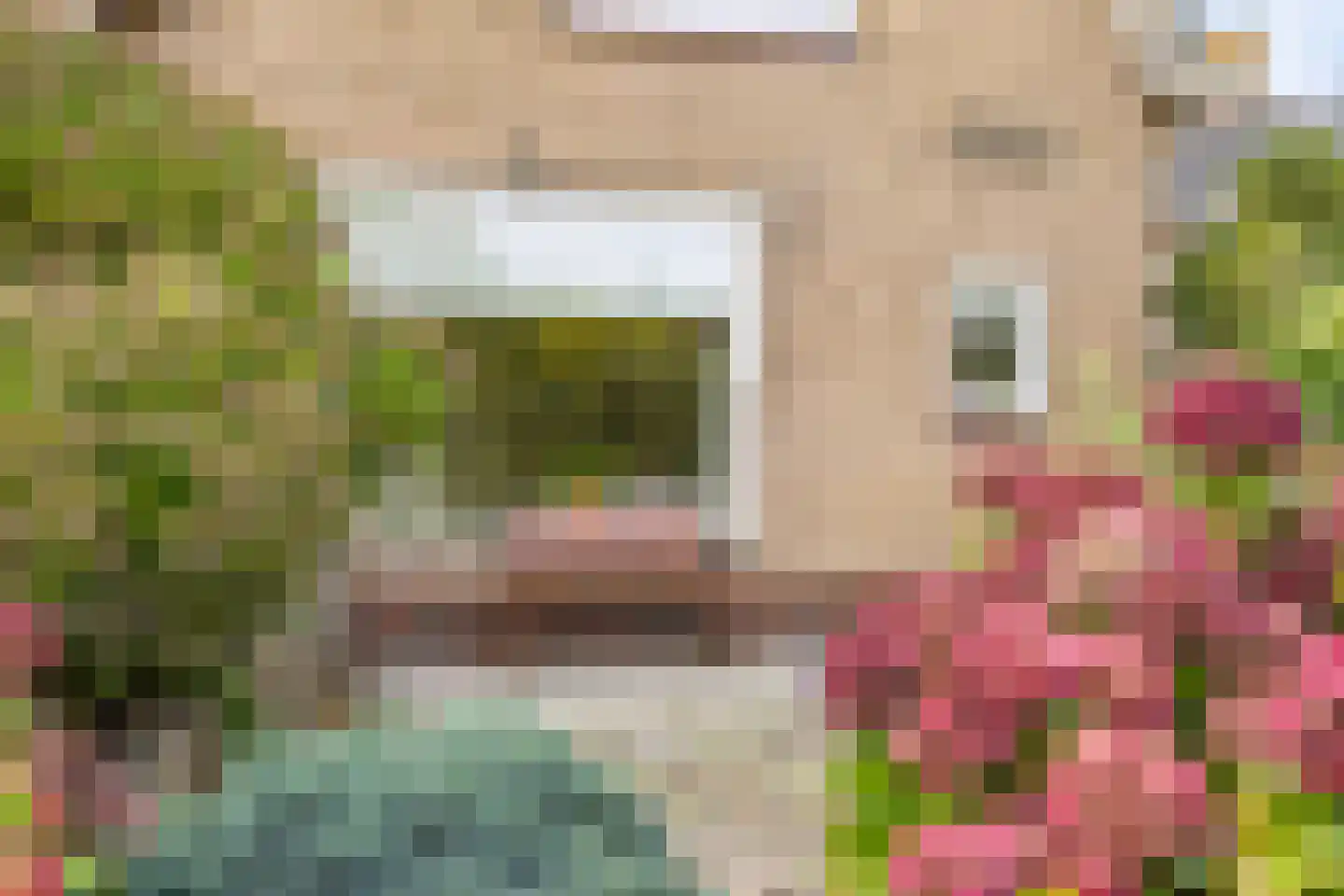 Altenastreek 31 Dokkum thumbnail 37