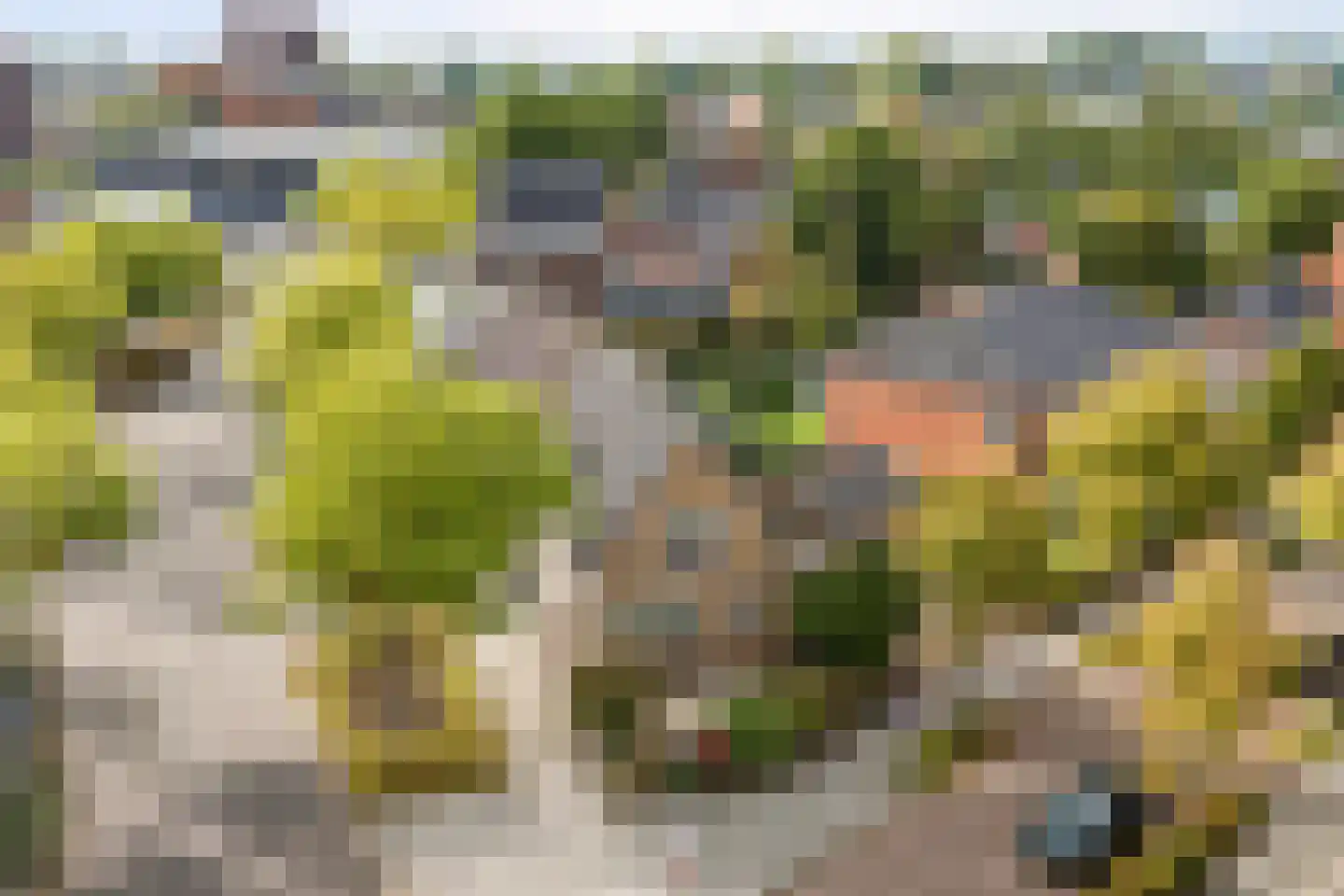 Altenastreek 31 Dokkum thumbnail 38