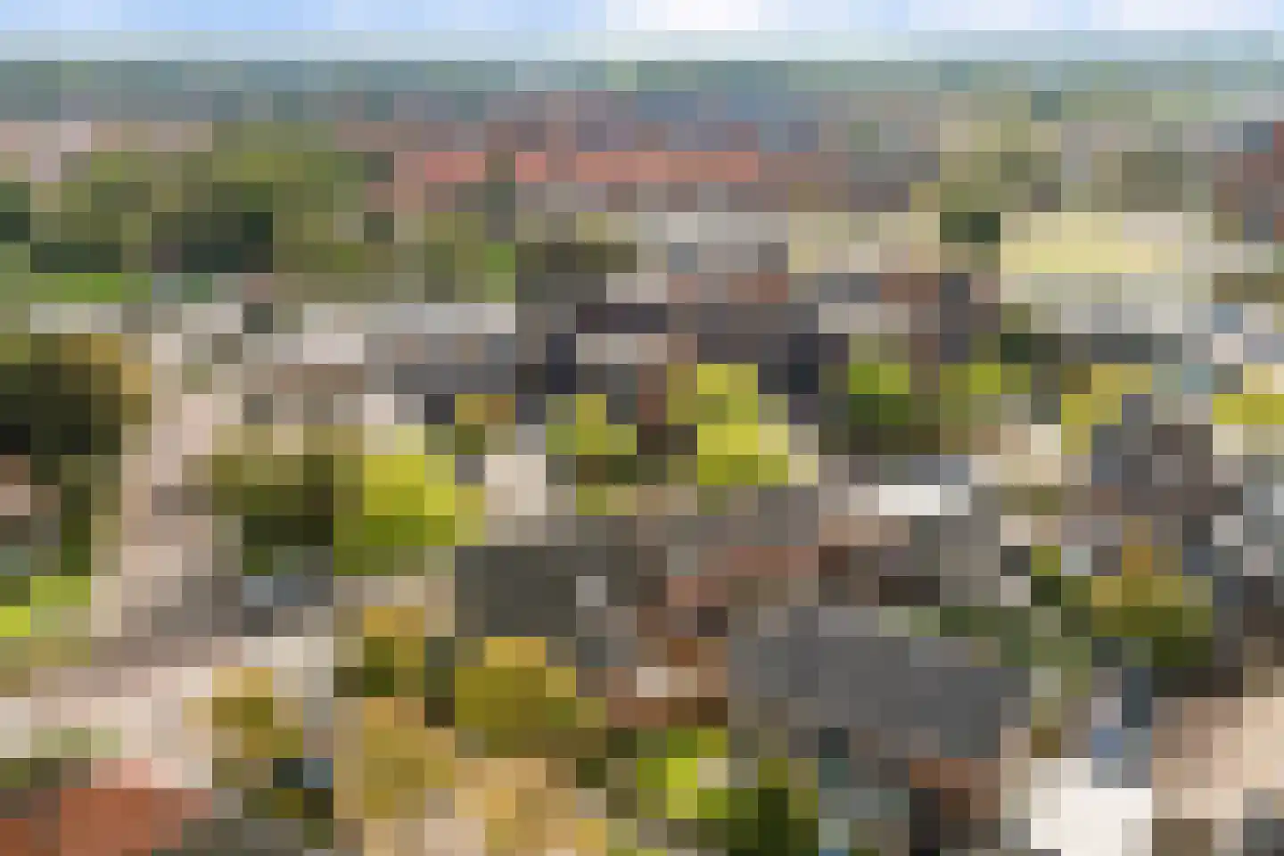 Altenastreek 31 Dokkum thumbnail 39