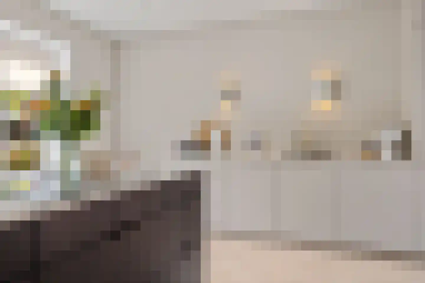Altenastreek 31 Dokkum thumbnail 4