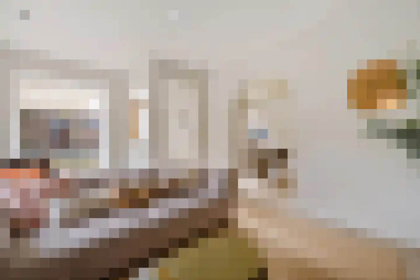 Altenastreek 31 Dokkum thumbnail 6