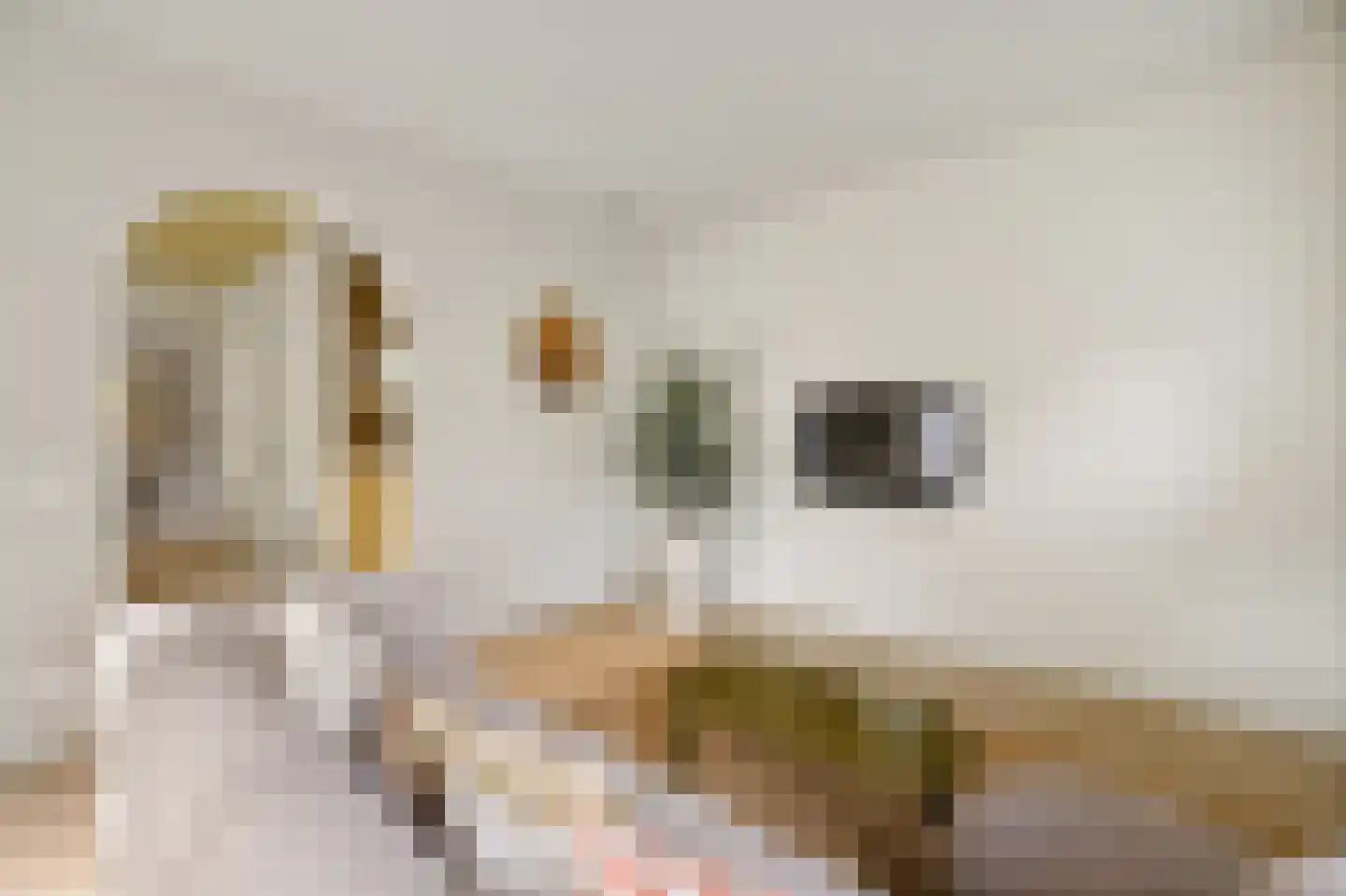 Altenastreek 31 Dokkum thumbnail 8