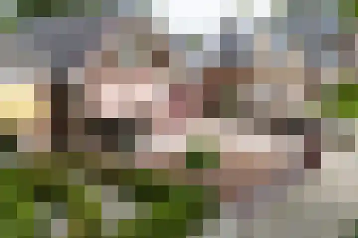 Altenastreek 51 Dokkum thumbnail 4