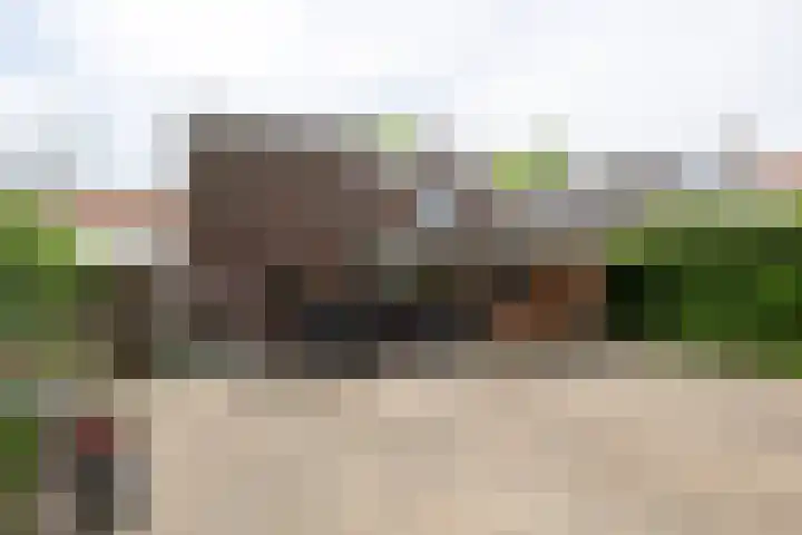 Altenastreek 51 Dokkum thumbnail 48