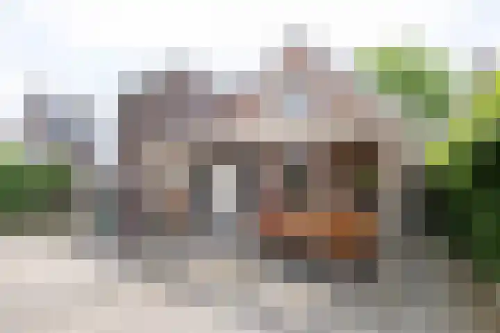 Altenastreek 51 Dokkum thumbnail 49