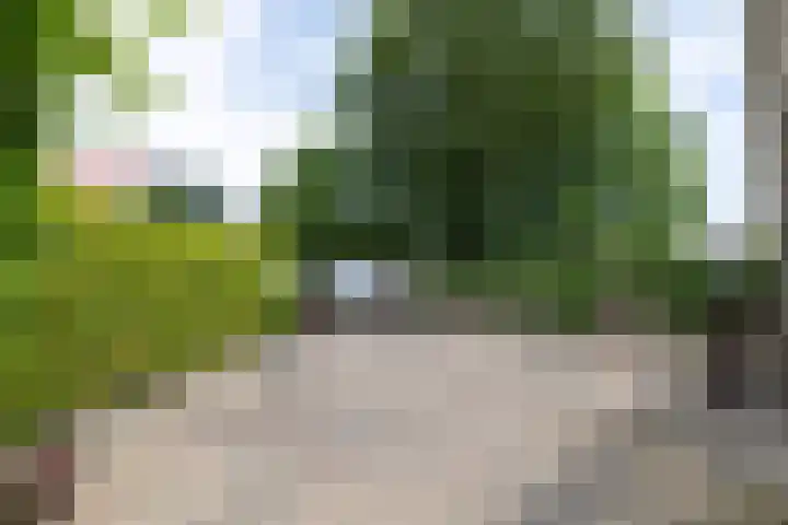 Altenastreek 51 Dokkum thumbnail 50
