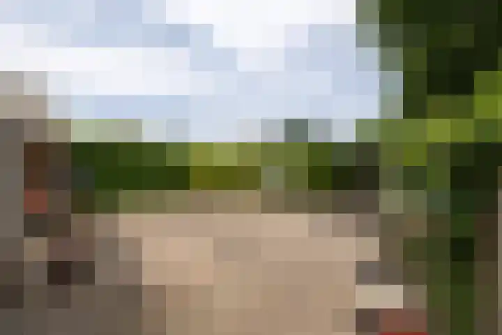 Altenastreek 51 Dokkum thumbnail 51