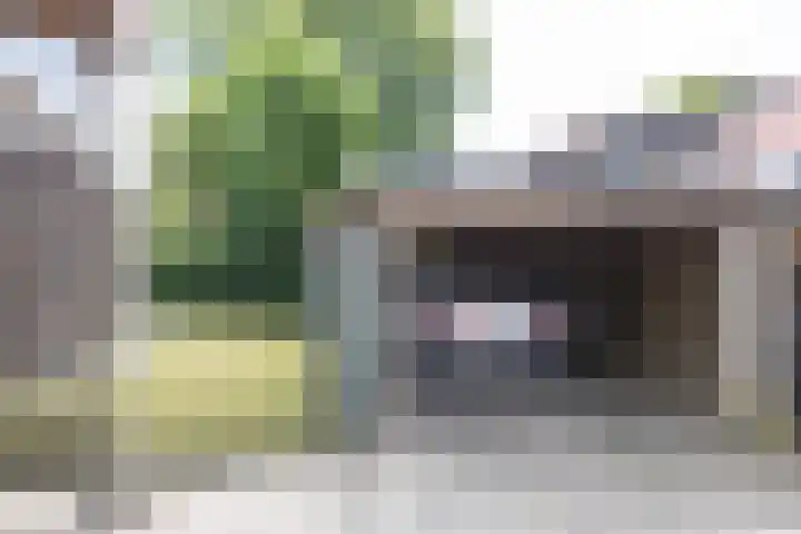 Altenastreek 51 Dokkum thumbnail 54