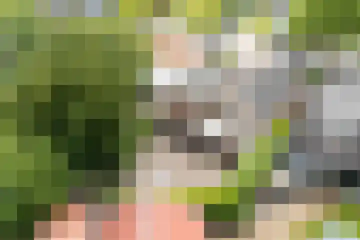 Altenastreek 51 Dokkum thumbnail 57