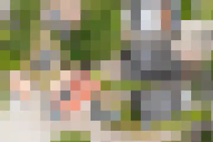 Altenastreek 51 Dokkum thumbnail 59