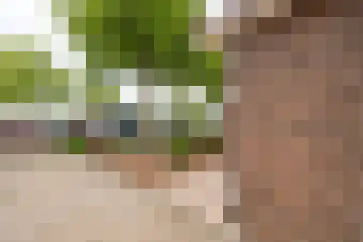 Altenastreek 51 Dokkum thumbnail 6