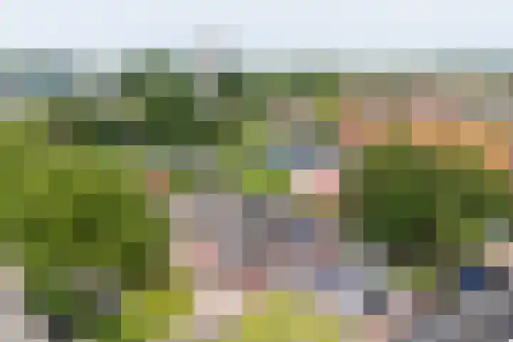 Altenastreek 51 Dokkum thumbnail 60