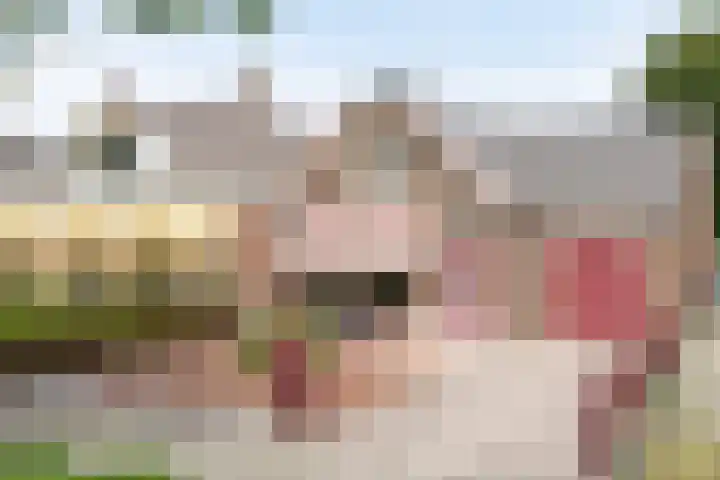 Altenastreek 51 Dokkum thumbnail 7