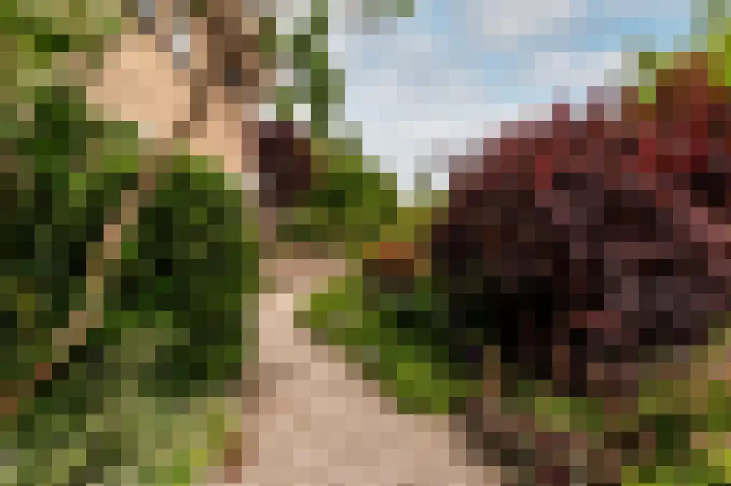 Altenaweg 2 Elburg thumbnail 49