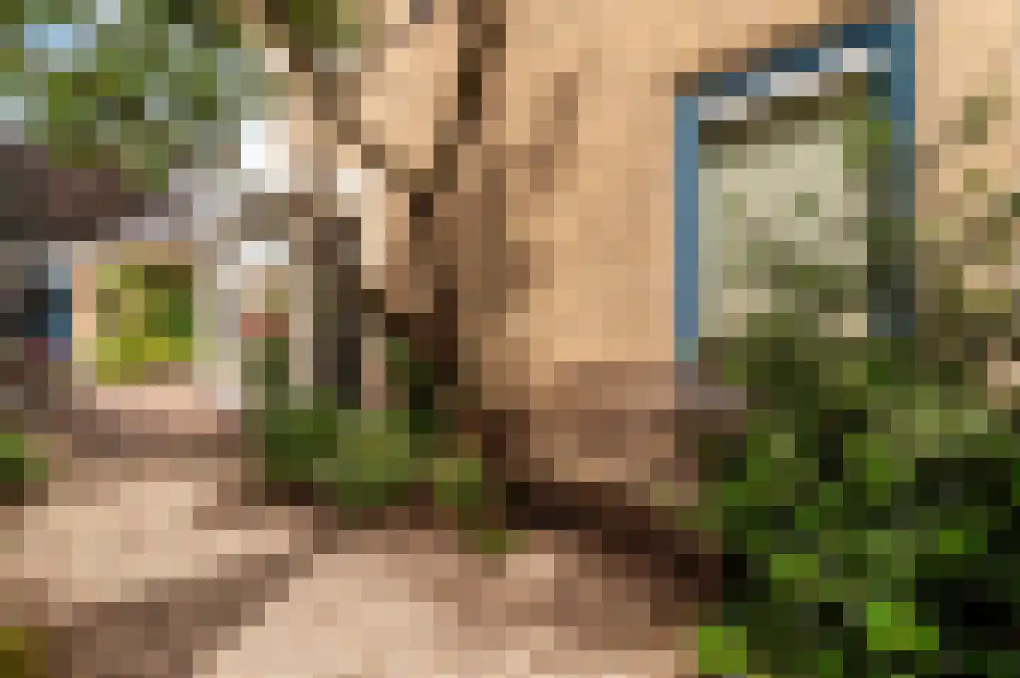 Altenaweg 2 Elburg thumbnail 50