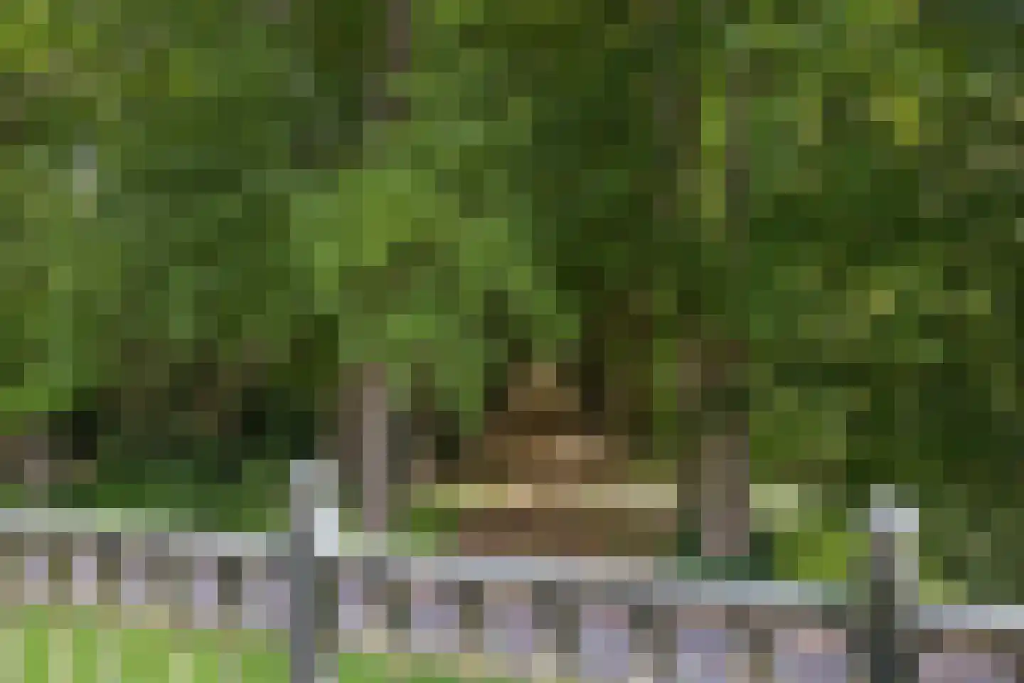Altenaweg 2 Gilze thumbnail 12