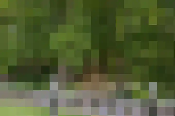 Altenaweg 2 Gilze thumbnail 12