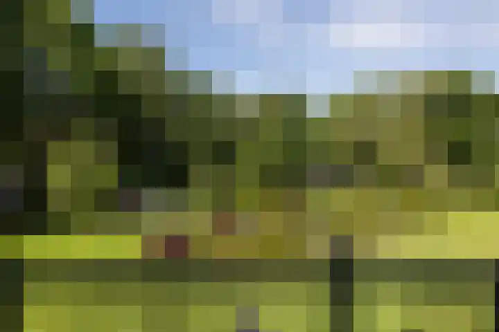 Altenaweg 2 Gilze thumbnail 13