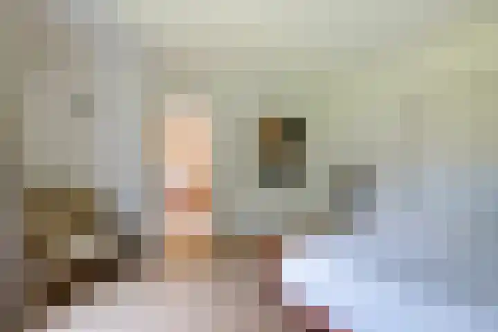 Altenaweg 2 Gilze thumbnail 14