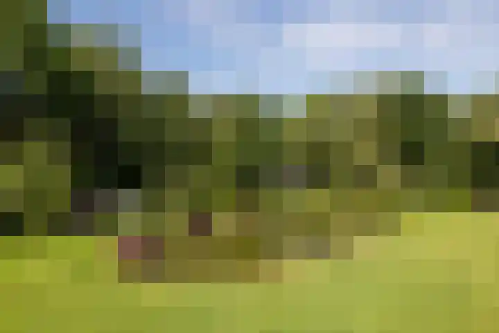 Altenaweg 2 Gilze thumbnail 19