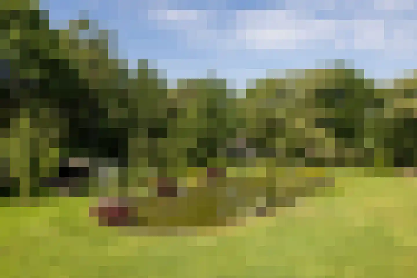 Altenaweg 2 Gilze thumbnail 19