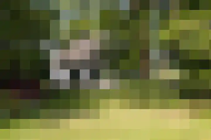 Altenaweg 2 Gilze thumbnail 20