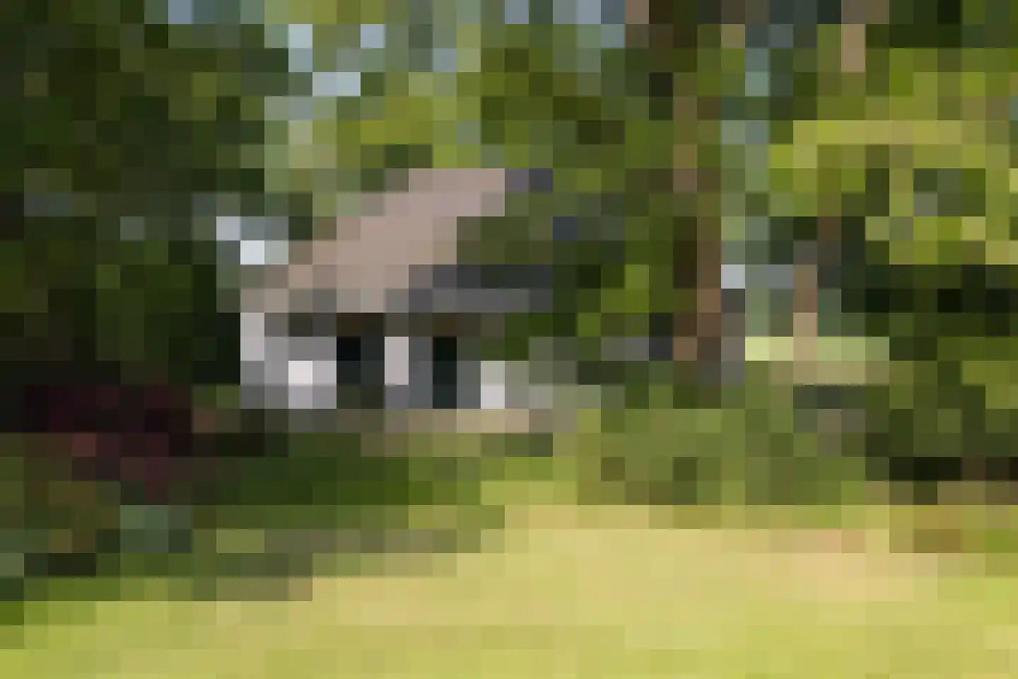 Altenaweg 2 Gilze thumbnail 20