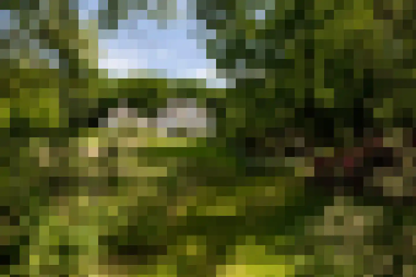 Altenaweg 2 Gilze thumbnail 22