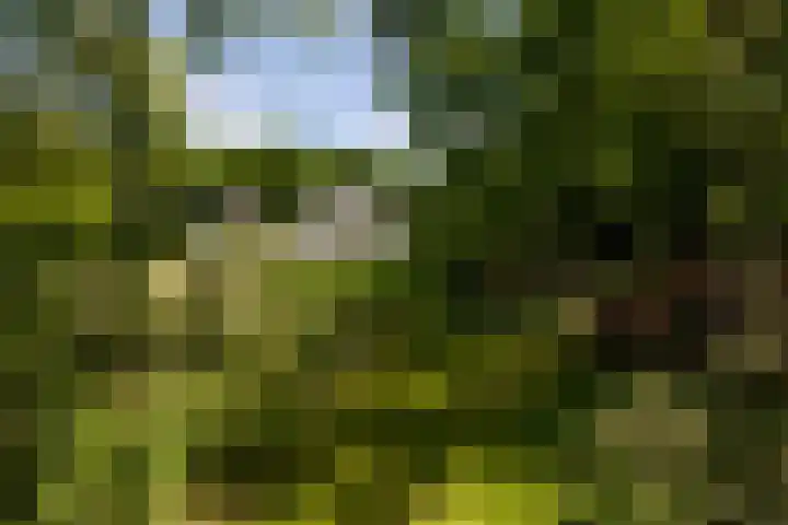 Altenaweg 2 Gilze thumbnail 22