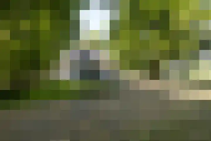 Altenaweg 2 Gilze thumbnail 23
