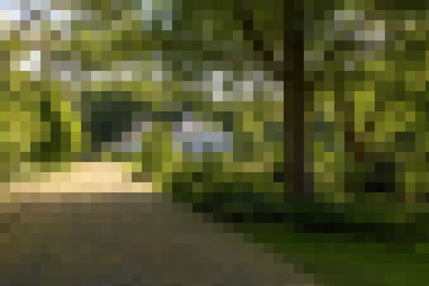 Altenaweg 2 Gilze thumbnail 24