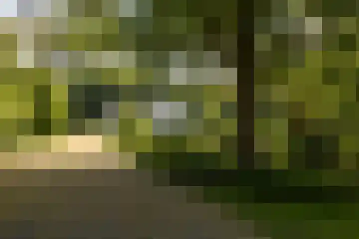 Altenaweg 2 Gilze thumbnail 24