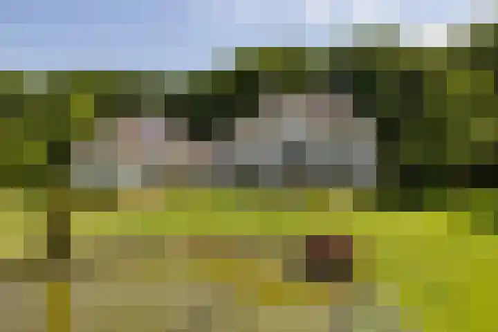 Altenaweg 2 Gilze thumbnail 25