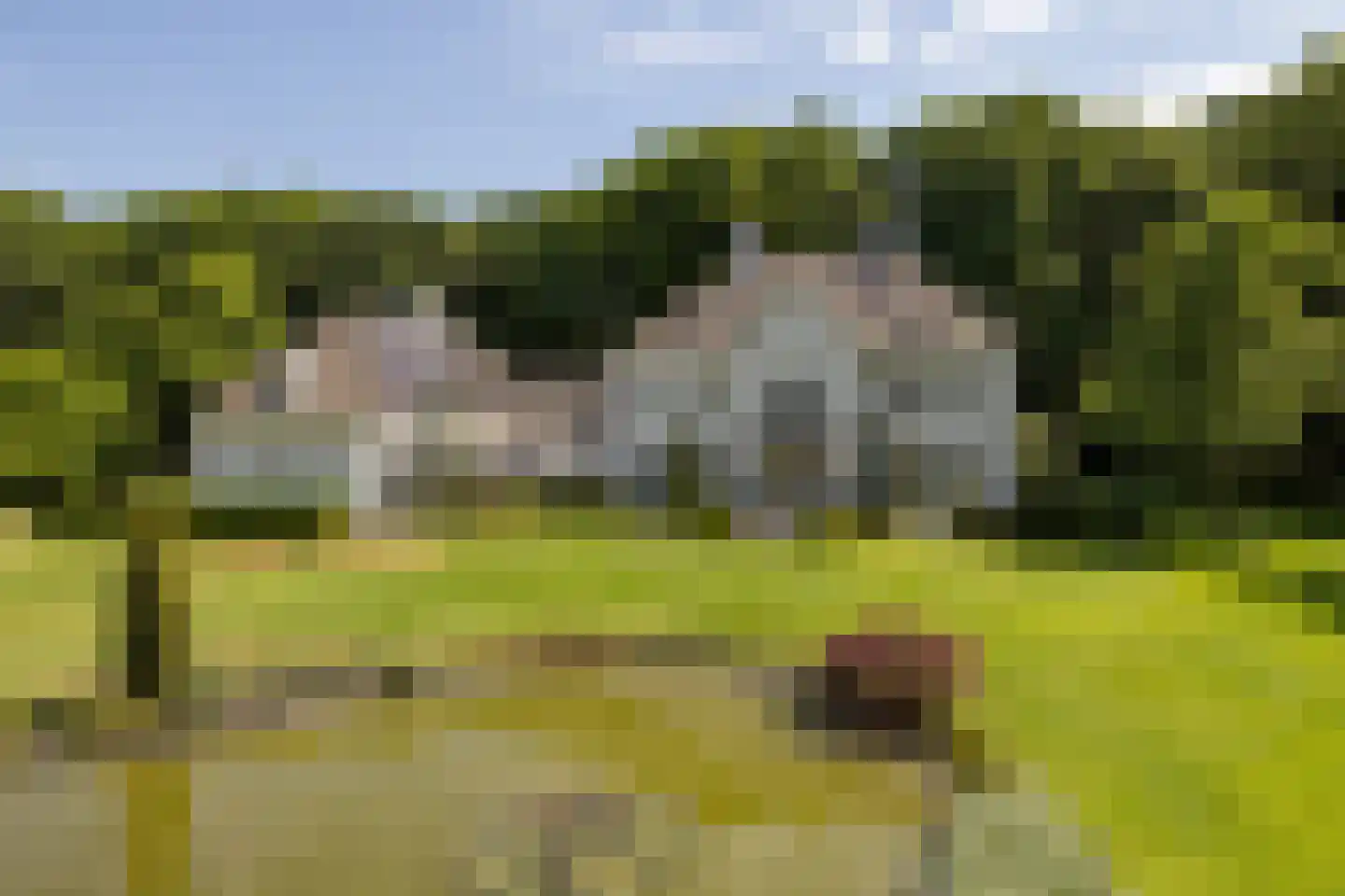 Altenaweg 2 Gilze thumbnail 25