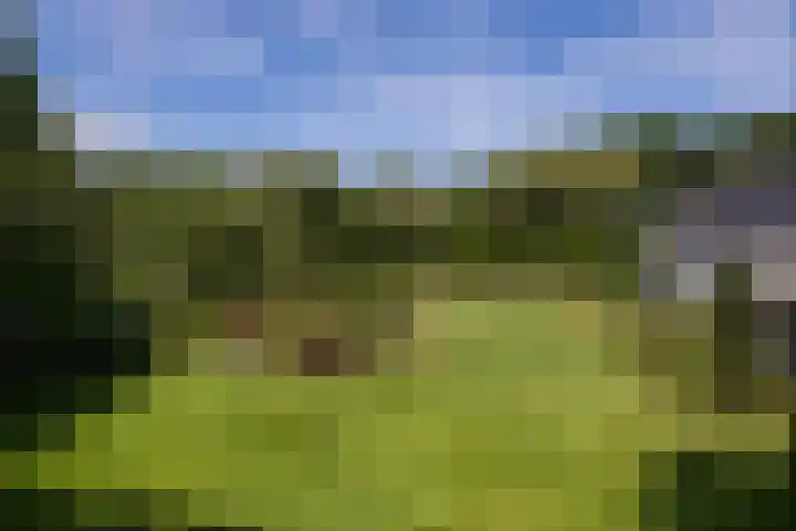 Altenaweg 2 Gilze thumbnail 26