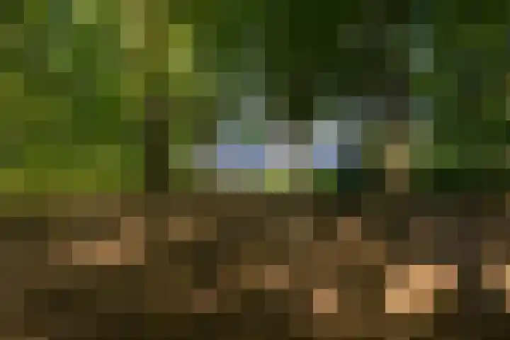 Altenaweg 2 Gilze thumbnail 28