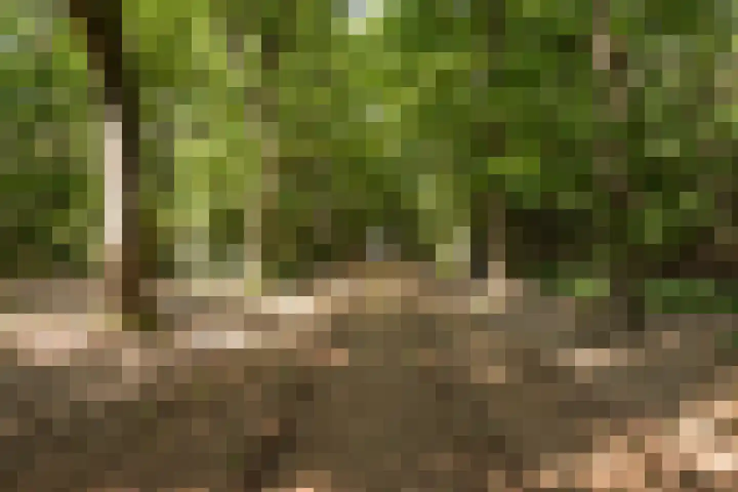 Altenaweg 2 Gilze thumbnail 29