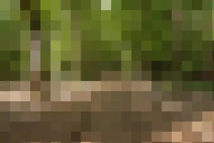 Altenaweg 2 Gilze thumbnail 29