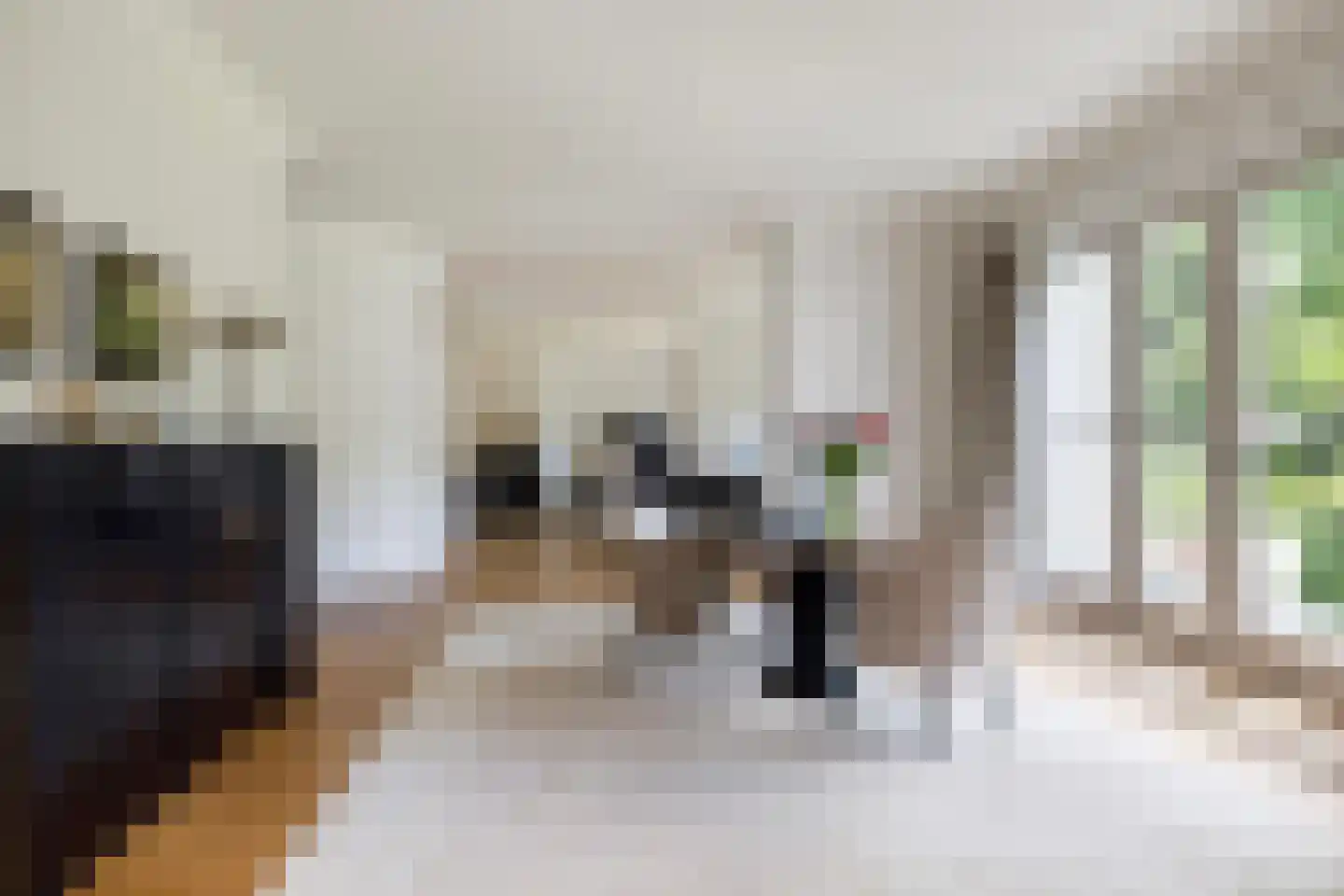 Altenaweg 2 Gilze thumbnail 9