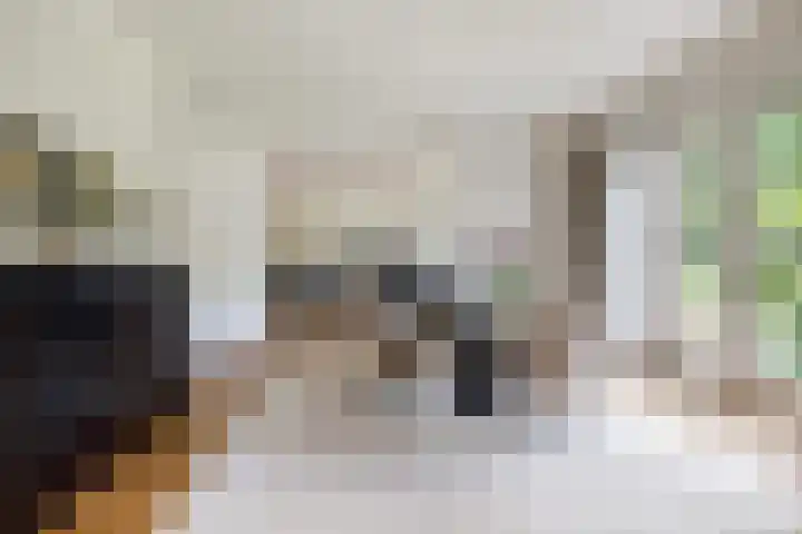 Altenaweg 2 Gilze thumbnail 9