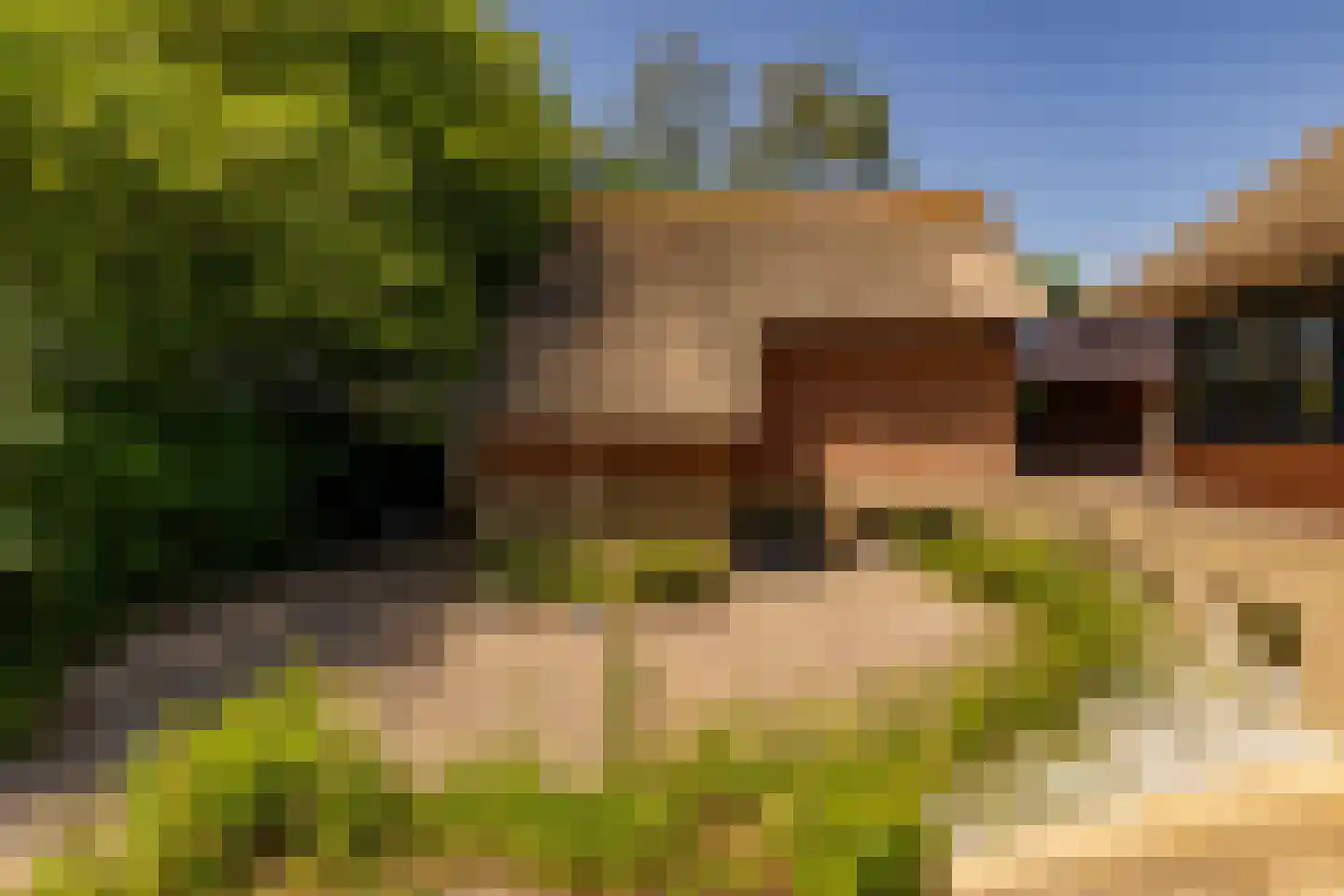 Alteveer 105 Alteveer thumbnail 55