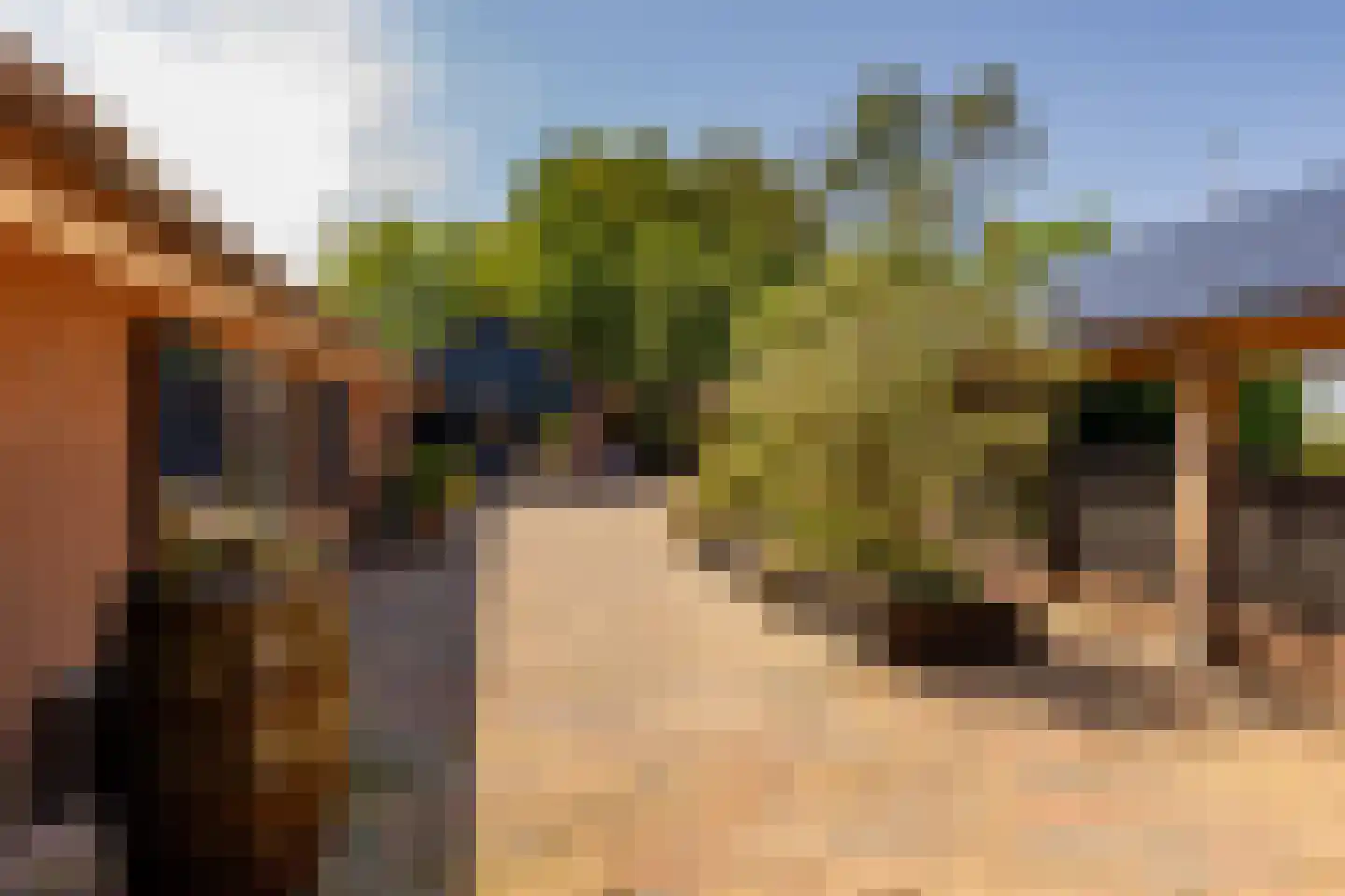 Alteveer 105 Alteveer thumbnail 61