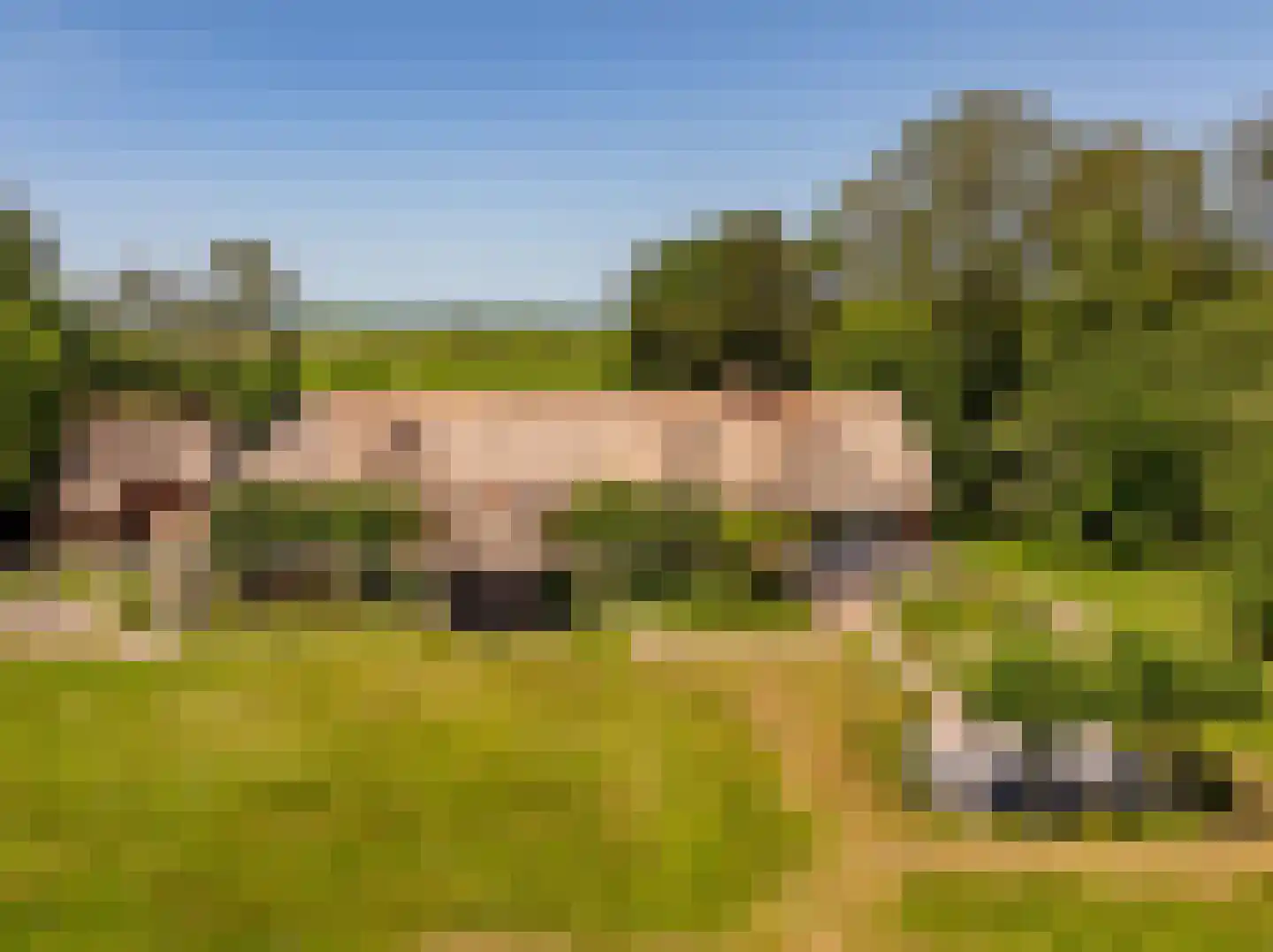 Alteveer 105 Alteveer thumbnail 65